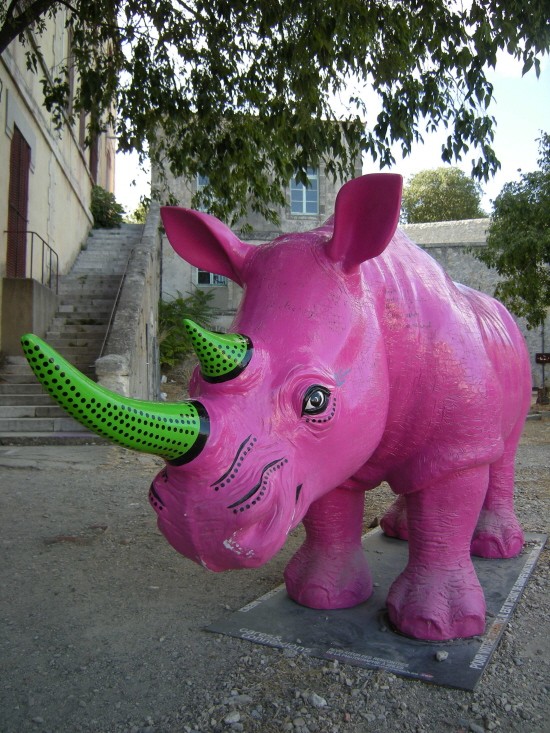 Rhino Arles 2010_2.jpg