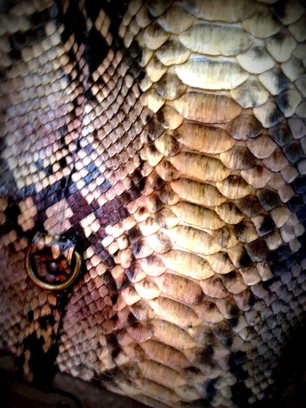 python detail3.jpg