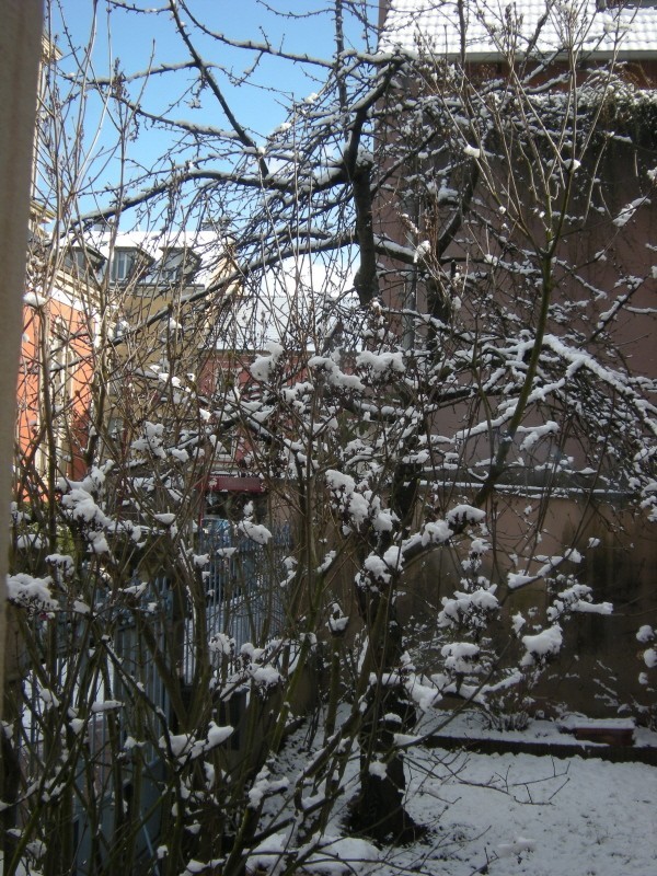 fenêtre neige.jpg