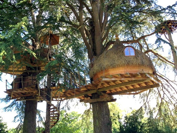 Cabane dans l'arbre.jpg