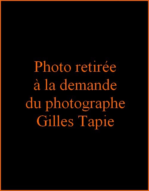Gilles Tapie.jpg
